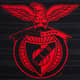 soAldair