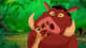 HAKUNAMATATA23