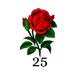 DRose25
