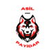 Asil Payidar Trade %20