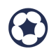 Fan Token