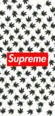 ElChapo1605