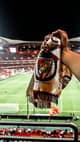TeixeiraLampiao