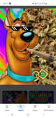 Cockn3ySMOKEZ