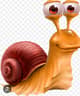 "Snail"