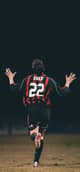 ninho_off