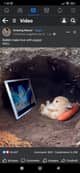 Tony Rabbit (open to offers)
