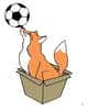 foxinthebox_