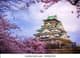 Osaka Hill