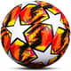 ASMFC06