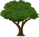 Boompje
