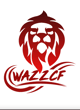 Wazzyr