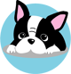 Boston Dog