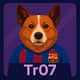 Tr07
