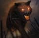 Fenrir 