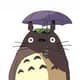 Supertotoro