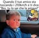 Sheng95