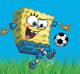 BobHoche