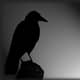 RavenX (ETH only, no $$$)