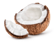 Coconutt1994 - Active on discord 