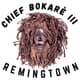 Chief Bokarè III