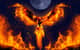 -Phoenix-