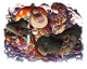 Vamp 🦇 ETH only 