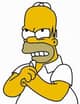 solohomer