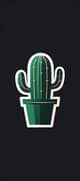 cactussu