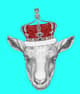 IamYorbe