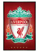 Ryanlfc