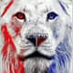 FORTALEZAFC