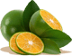 calamansi