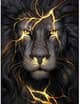 SEVEN LIONS