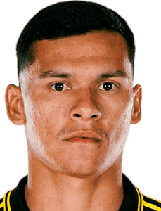 Marcelo&nbsp;Andrés Herrera