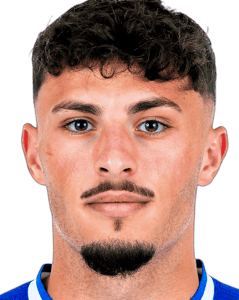 Eldin Dzogovic