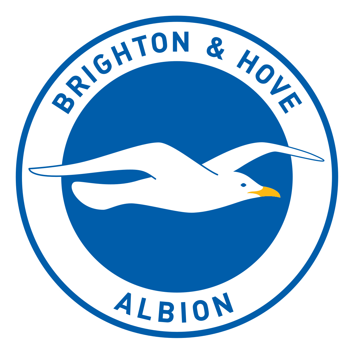 Brighton & Hove Albion FC