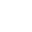 Detroit Tigers