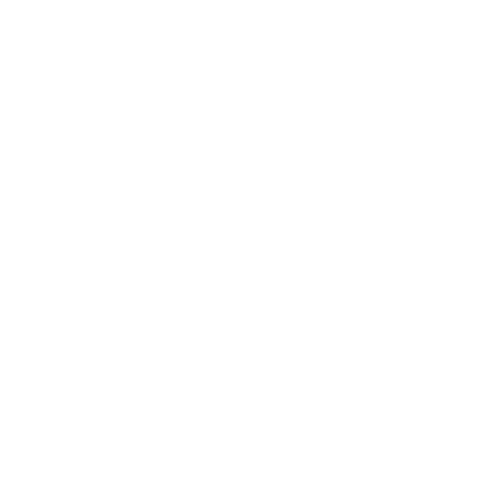 Detroit Tigers