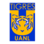 tigres-uanl-san-nicolas-de-los-garza