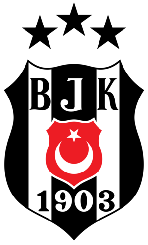 Beşiktaş Jimnastik Kulübü