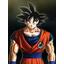 GOKU8314
