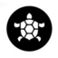 fearmyturtle